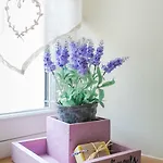 The Old Farm Of D' Hotes & Table D' Hotes *