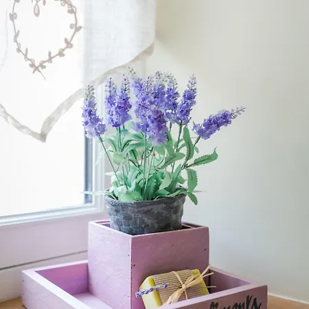 The Old Farm Of D' Hotes & Table D' Hotes *