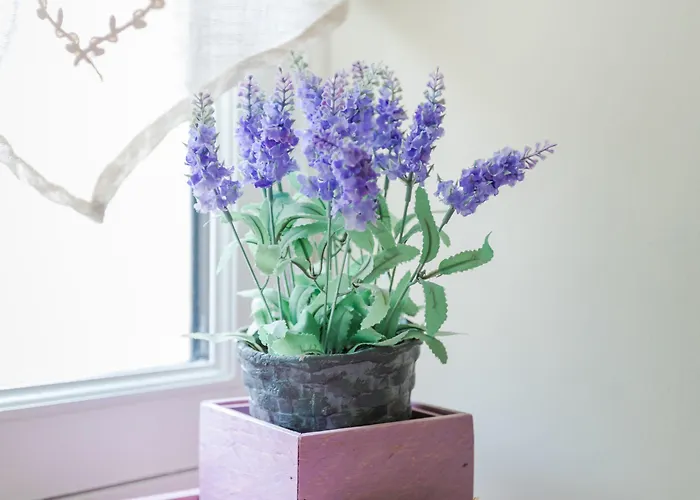 The Old Farm Of D' Hotes & Table D' Hotes *